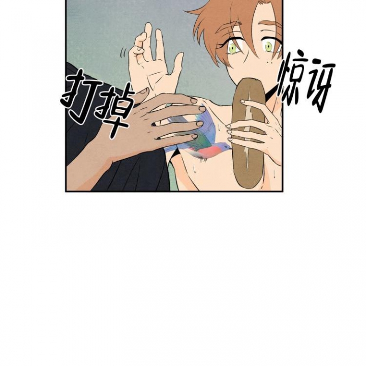 《祝你好运》漫画最新章节第5话免费下拉式在线观看章节第【35】张图片