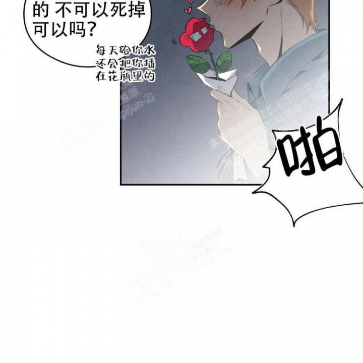 《祝你好运》漫画最新章节第46话免费下拉式在线观看章节第【33】张图片