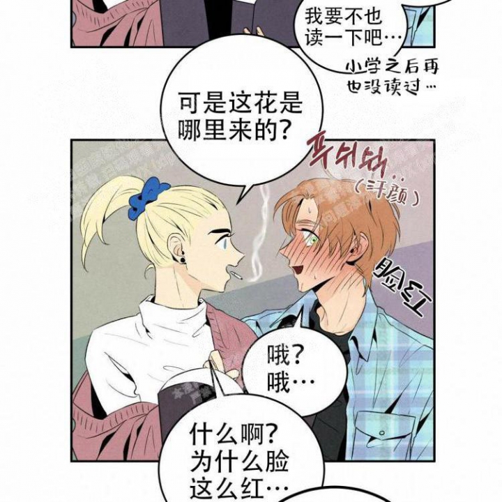 《祝你好运》漫画最新章节第50话免费下拉式在线观看章节第【16】张图片