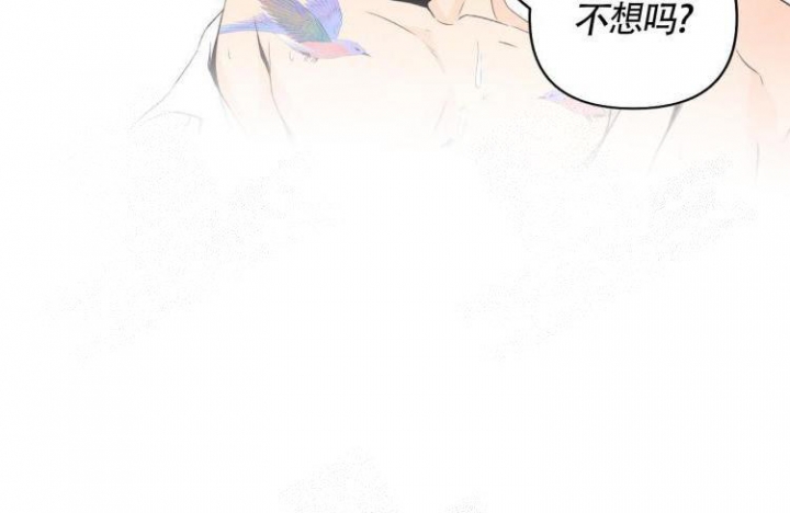 《祝你好运》漫画最新章节第17话免费下拉式在线观看章节第【20】张图片