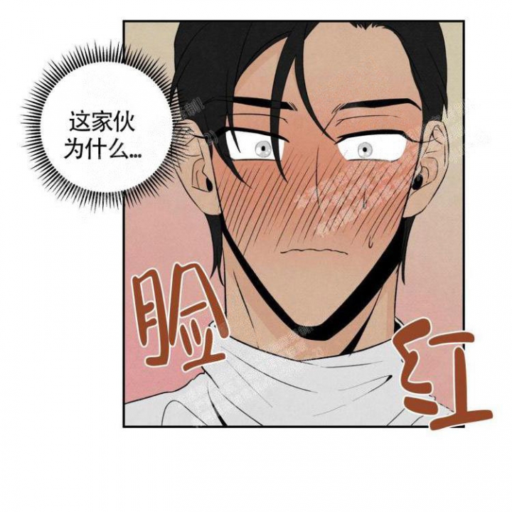 《祝你好运》漫画最新章节第42话免费下拉式在线观看章节第【3】张图片