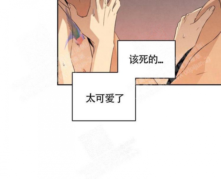 《祝你好运》漫画最新章节第33话免费下拉式在线观看章节第【16】张图片