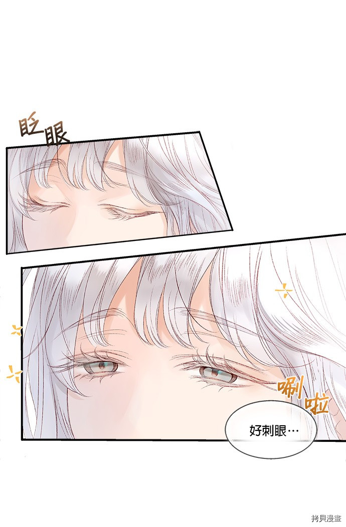 《苏丹之花》漫画最新章节第3话免费下拉式在线观看章节第【12】张图片