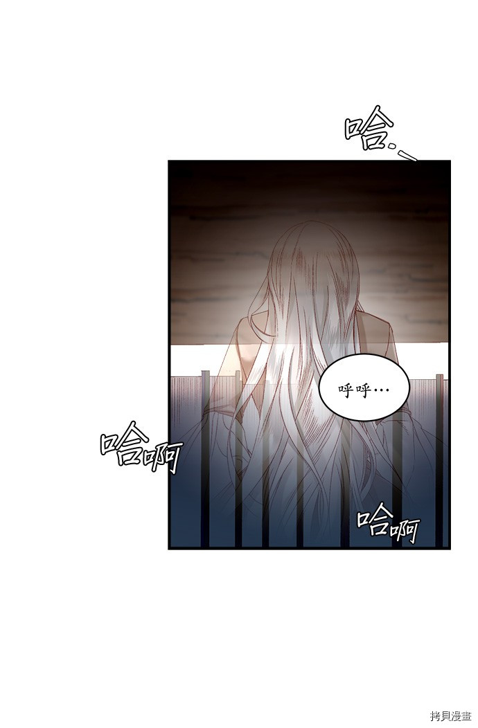 《苏丹之花》漫画最新章节第9话免费下拉式在线观看章节第【41】张图片
