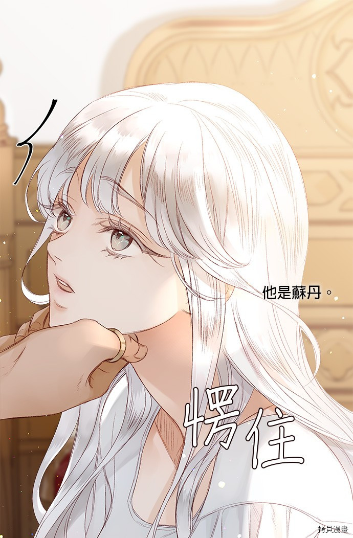 《苏丹之花》漫画最新章节第3话免费下拉式在线观看章节第【30】张图片