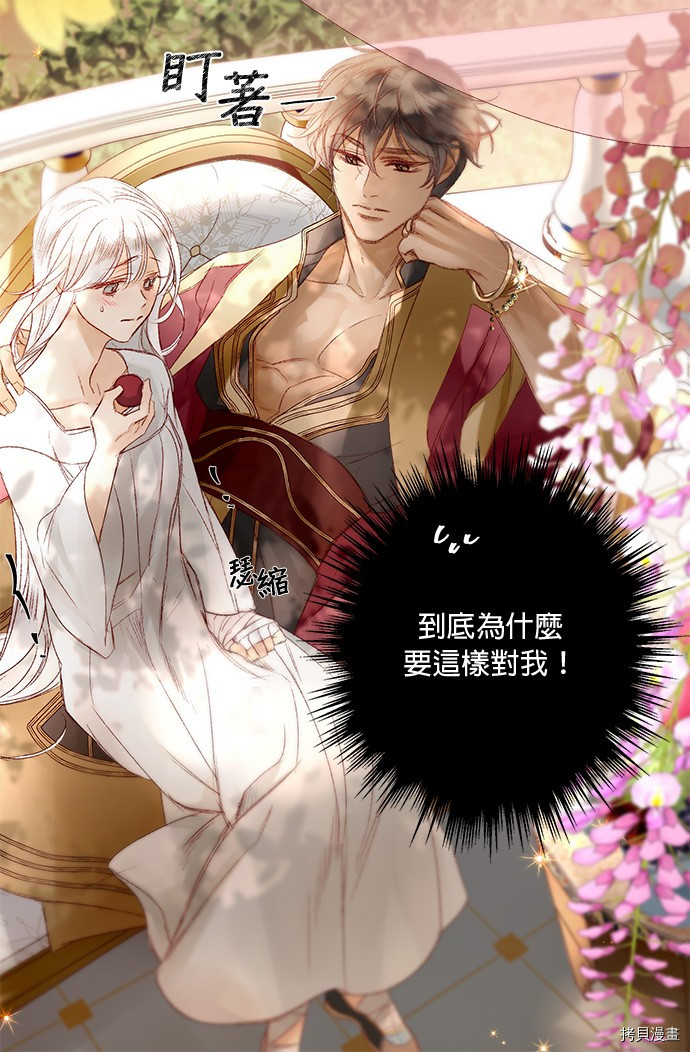 《苏丹之花》漫画最新章节第3话免费下拉式在线观看章节第【46】张图片