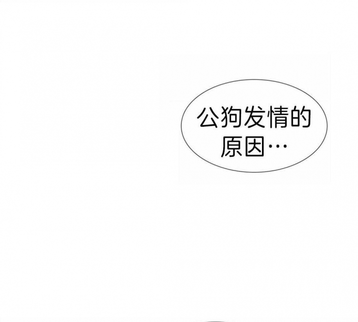 《疯狗》漫画最新章节第86话免费下拉式在线观看章节第【25】张图片