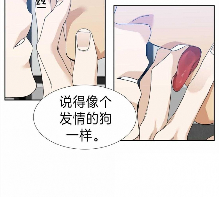 《疯狗》漫画最新章节第86话免费下拉式在线观看章节第【24】张图片