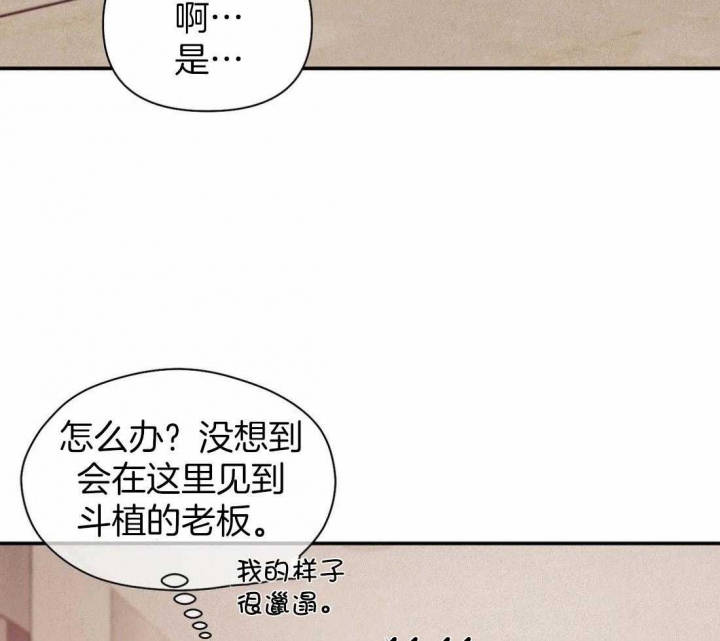 《珍珠少年(I+II季)》漫画最新章节第127话免费下拉式在线观看章节第【13】张图片