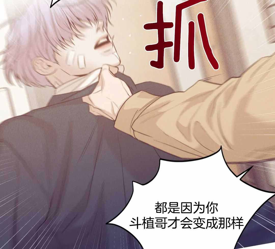 《珍珠少年(I+II季)》漫画最新章节第184话免费下拉式在线观看章节第【3】张图片