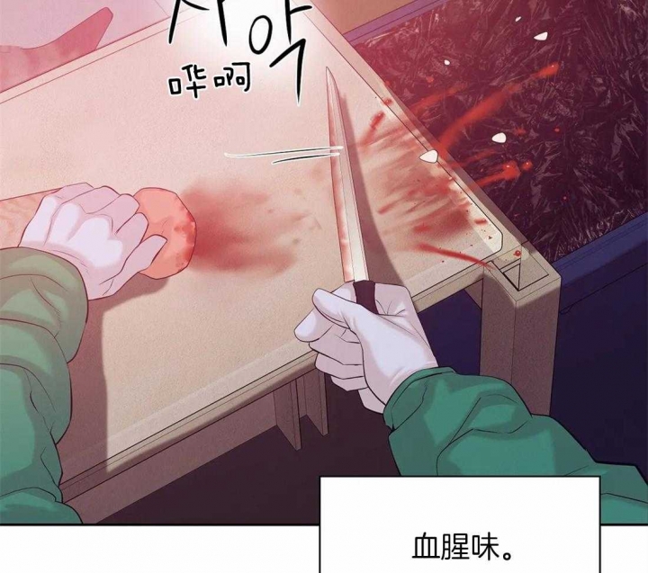 《珍珠少年(I+II季)》漫画最新章节第104话免费下拉式在线观看章节第【15】张图片