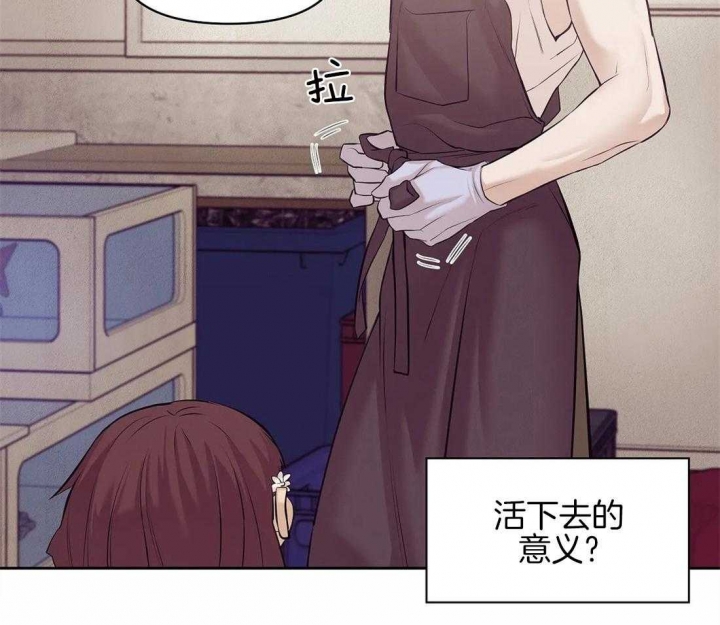 《珍珠少年(I+II季)》漫画最新章节第104话免费下拉式在线观看章节第【33】张图片