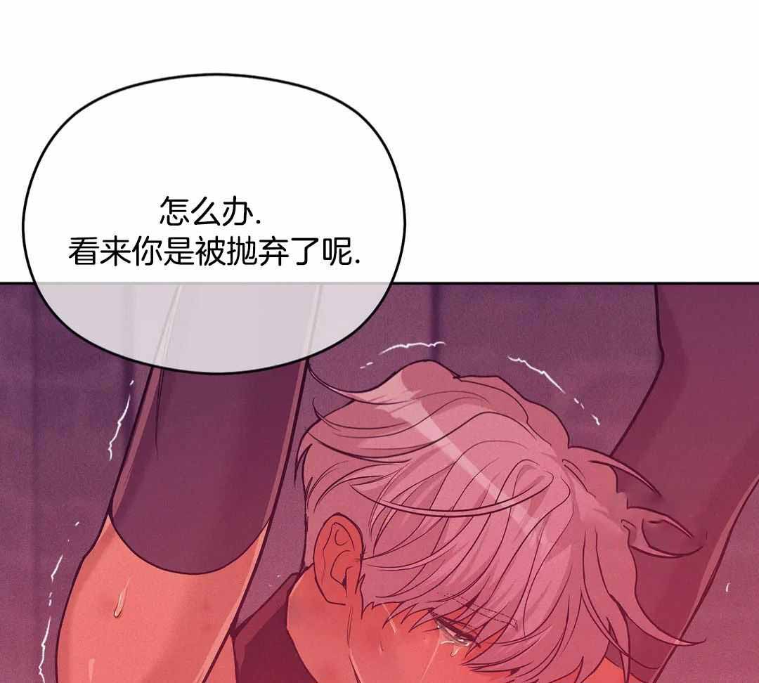 《珍珠少年(I+II季)》漫画最新章节第177话免费下拉式在线观看章节第【26】张图片