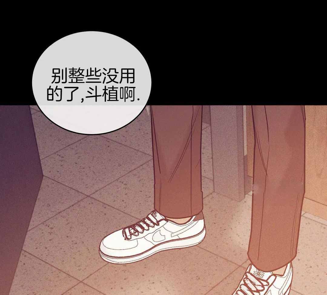 《珍珠少年(I+II季)》漫画最新章节第178话免费下拉式在线观看章节第【20】张图片