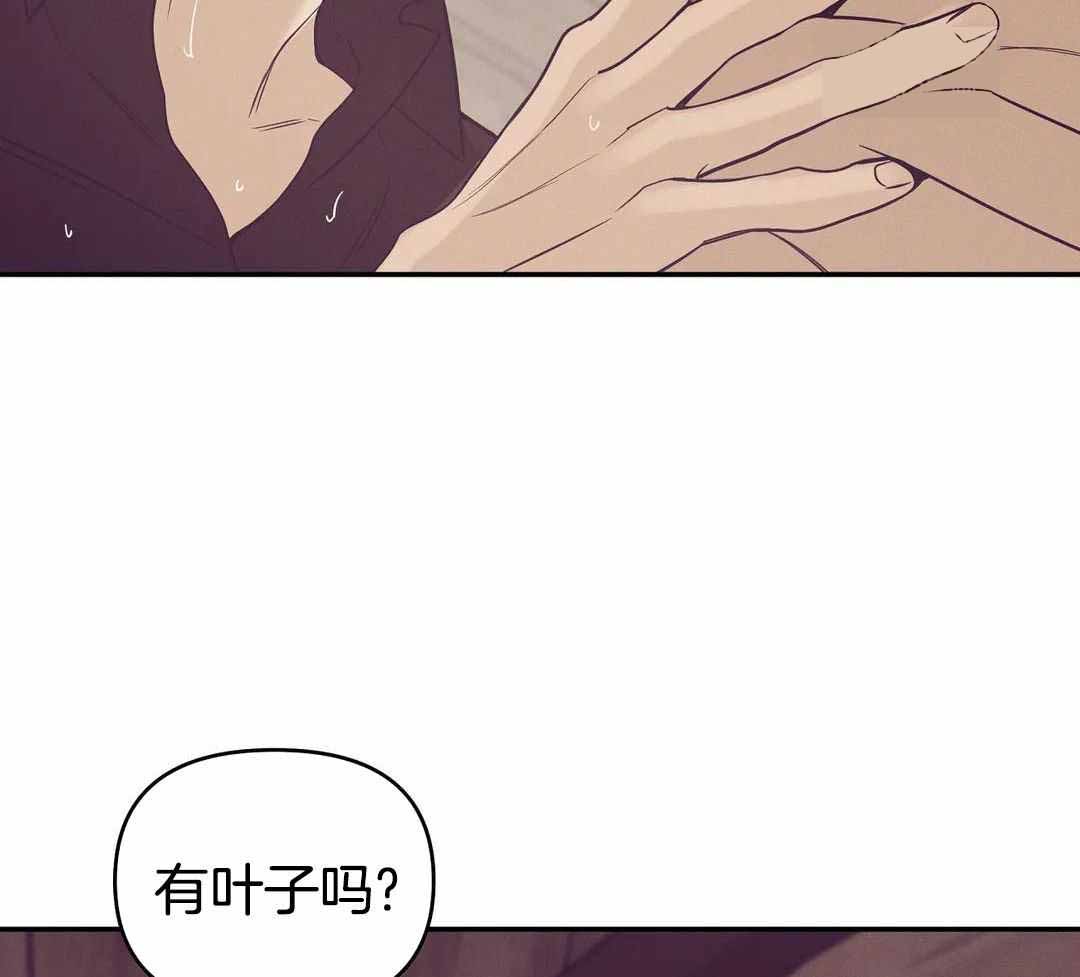 《珍珠少年(I+II季)》漫画最新章节第167话免费下拉式在线观看章节第【35】张图片