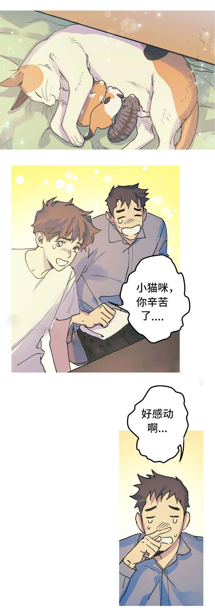 《男友背着我算命》漫画最新章节第17话免费下拉式在线观看章节第【19】张图片