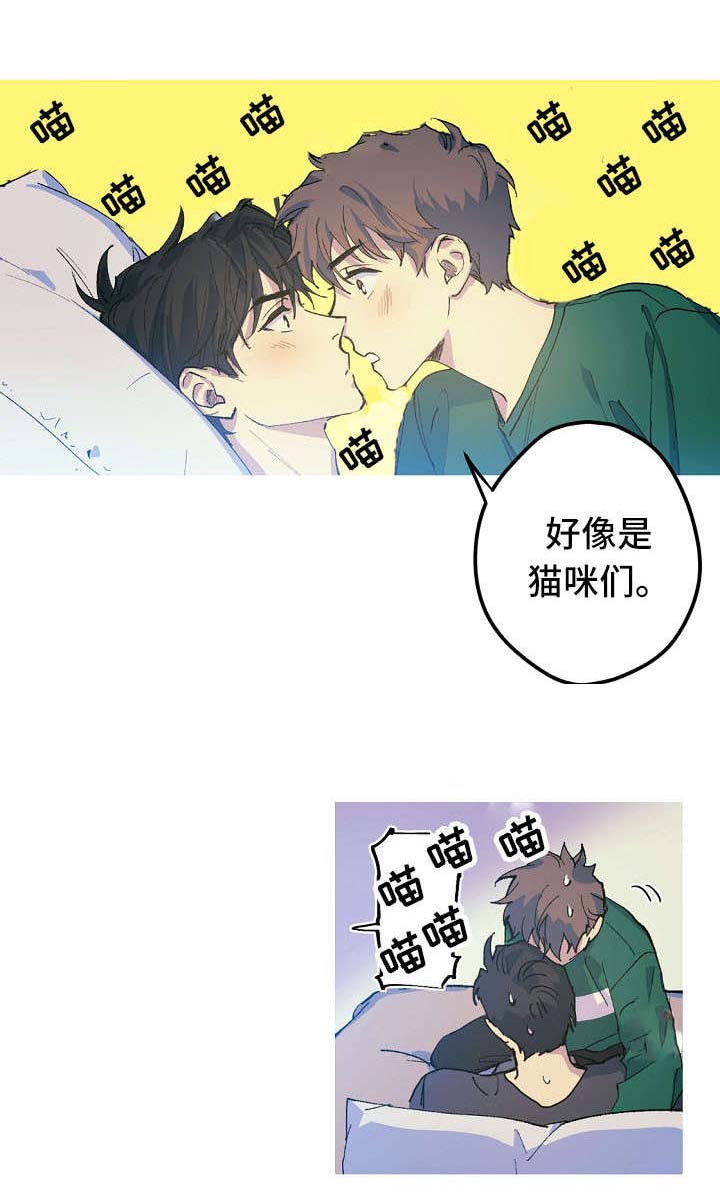 《男友背着我算命》漫画最新章节第19话免费下拉式在线观看章节第【15】张图片