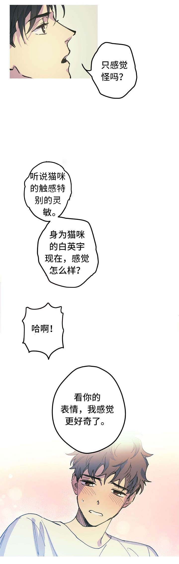 《男友背着我算命》漫画最新章节第17话免费下拉式在线观看章节第【3】张图片