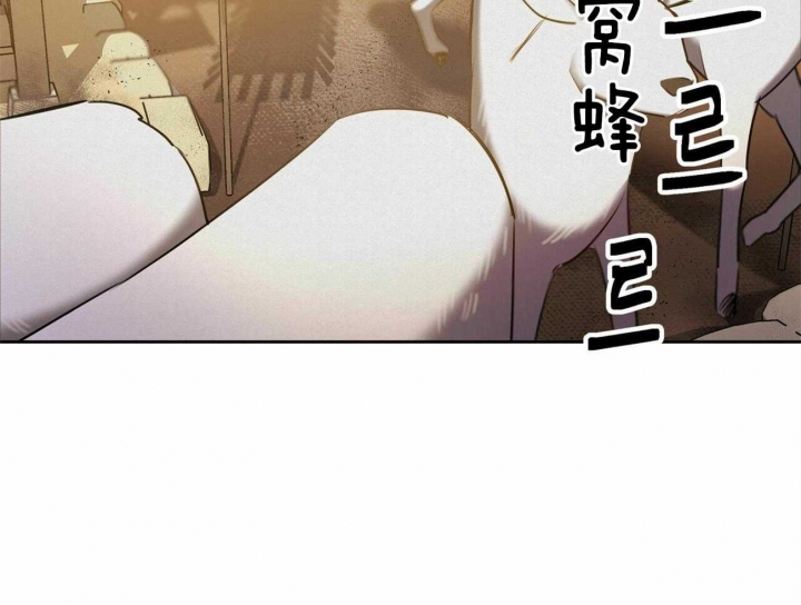 《我非樵夫》漫画最新章节第63话免费下拉式在线观看章节第【42】张图片