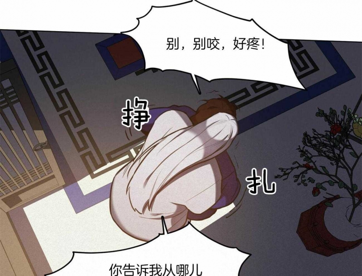 《我非樵夫》漫画最新章节第48话免费下拉式在线观看章节第【11】张图片