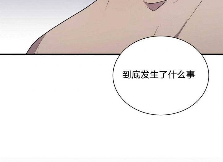 《情侣合约》漫画最新章节第97话免费下拉式在线观看章节第【60】张图片