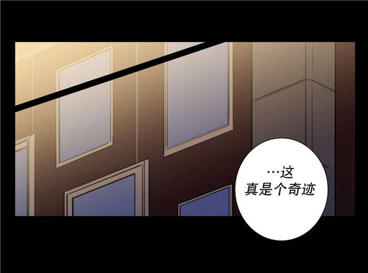 《狼人卡特》漫画最新章节第79话免费下拉式在线观看章节第【14】张图片