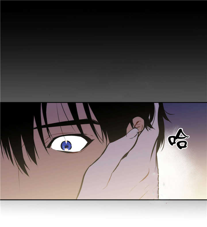 《狼人卡特》漫画最新章节第68话免费下拉式在线观看章节第【13】张图片