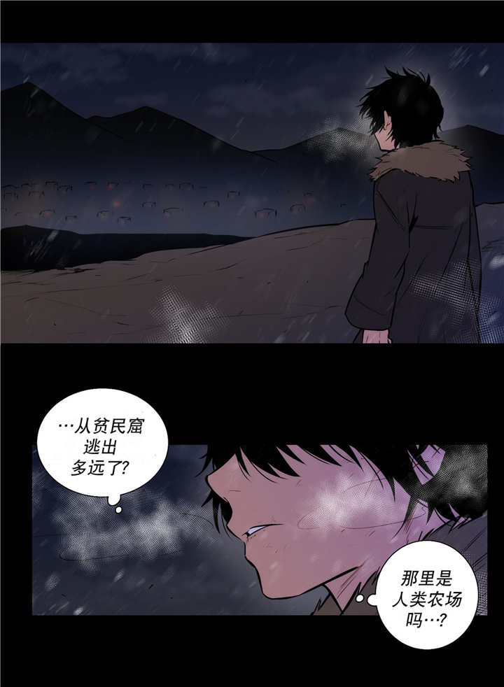 《狼人卡特》漫画最新章节第73话免费下拉式在线观看章节第【20】张图片