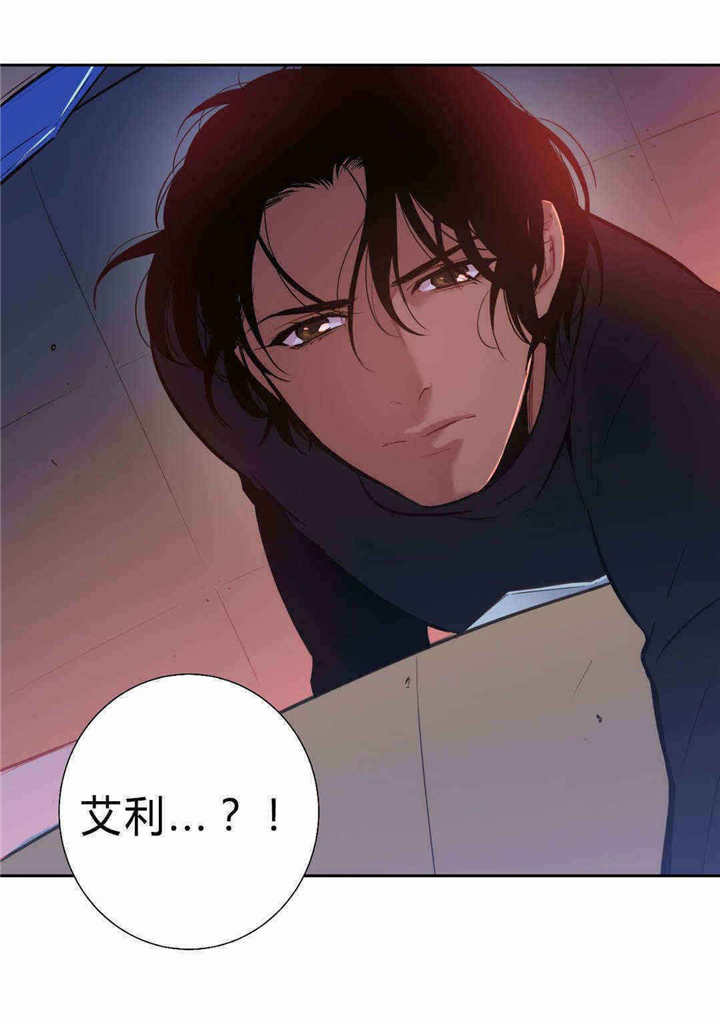 《狼人卡特》漫画最新章节第92话免费下拉式在线观看章节第【4】张图片