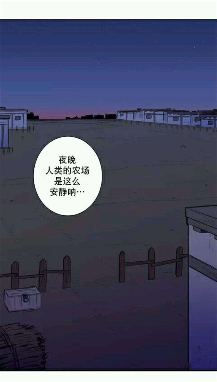 《狼人卡特》漫画最新章节第7话免费下拉式在线观看章节第【21】张图片