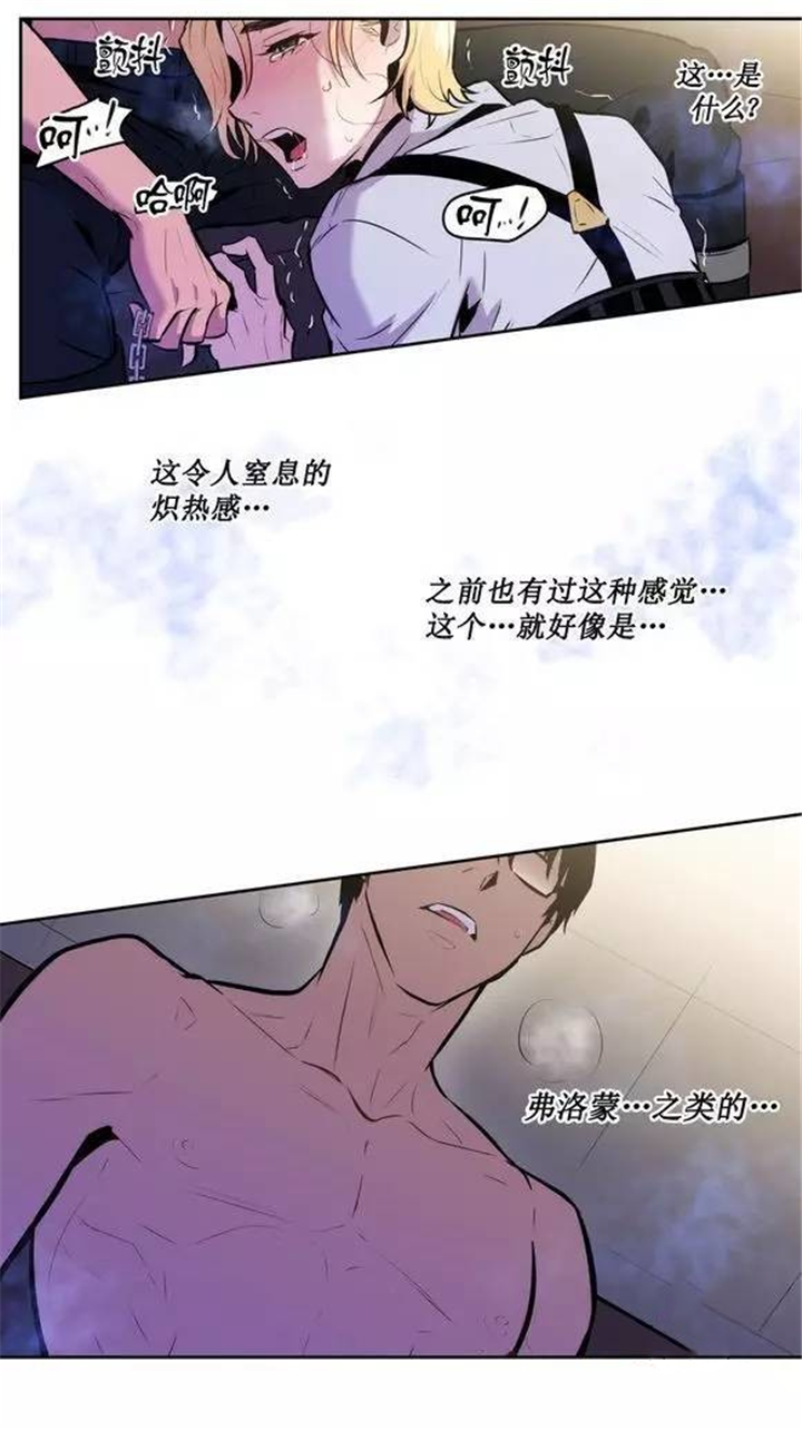 《狼人卡特》漫画最新章节第44话免费下拉式在线观看章节第【3】张图片