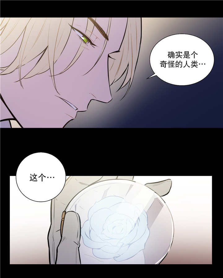 《狼人卡特》漫画最新章节第75话免费下拉式在线观看章节第【20】张图片