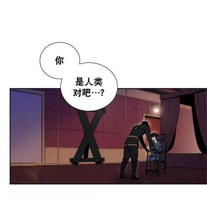 《狼人卡特》漫画最新章节第38话免费下拉式在线观看章节第【23】张图片