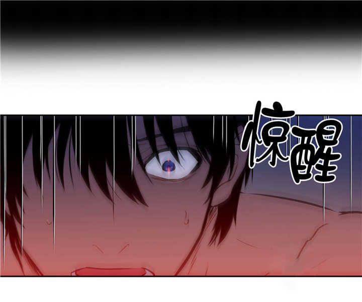 《狼人卡特》漫画最新章节第69话免费下拉式在线观看章节第【5】张图片