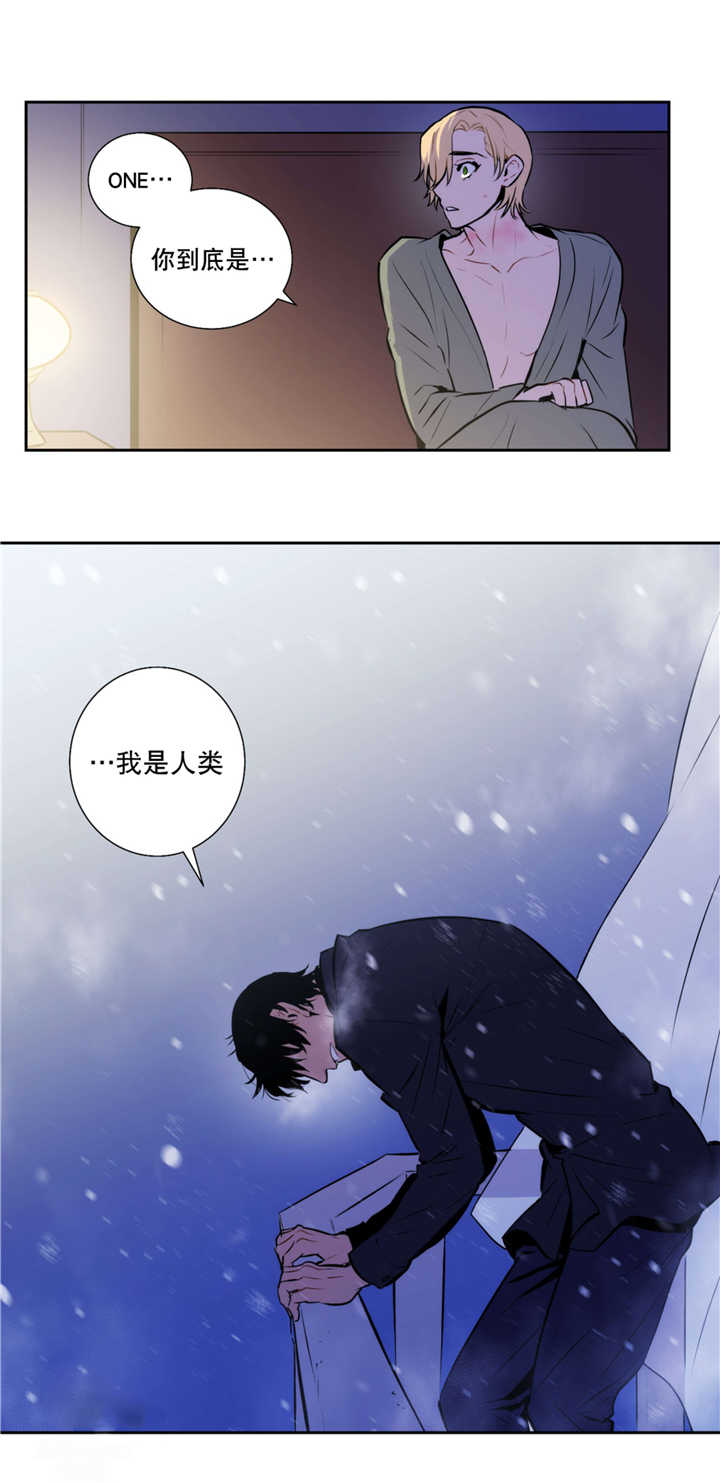 《狼人卡特》漫画最新章节第52话免费下拉式在线观看章节第【12】张图片