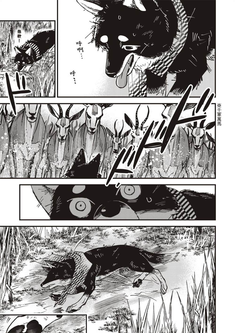 《兽王与狼面伴侣》漫画最新章节第5话免费下拉式在线观看章节第【26】张图片
