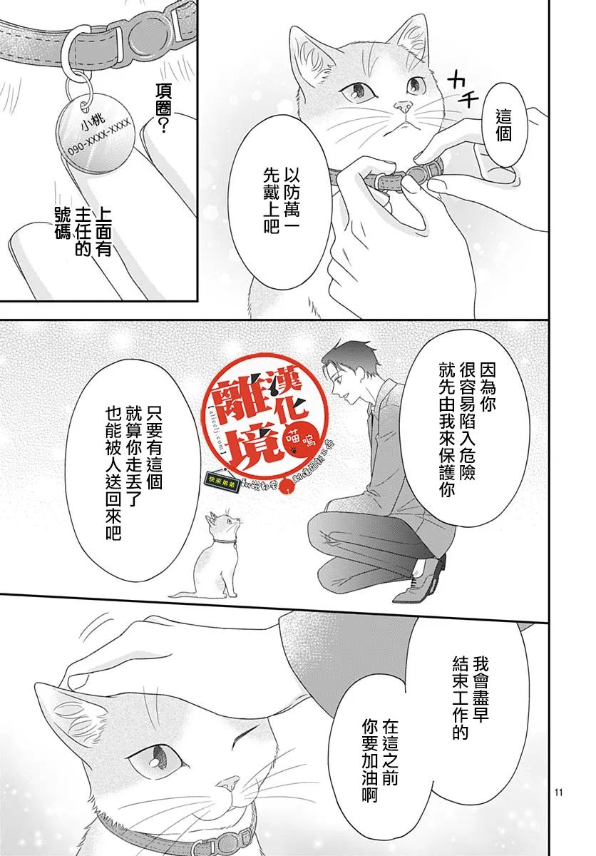 《完全喵话饲养～被一脸凶相的上司宠爱著～》漫画最新章节第6话免费下拉式在线观看章节第【11】张图片