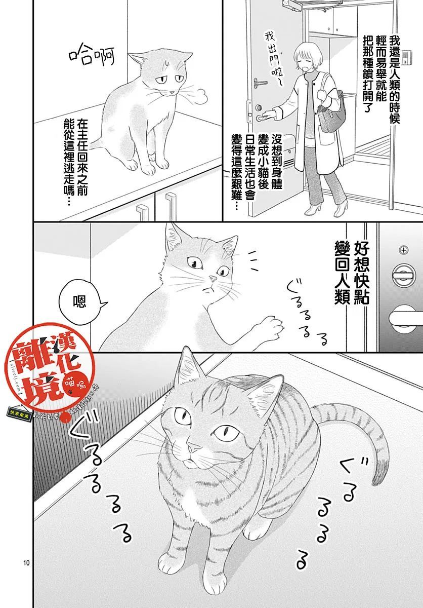 《完全喵话饲养～被一脸凶相的上司宠爱著～》漫画最新章节第2话免费下拉式在线观看章节第【10】张图片