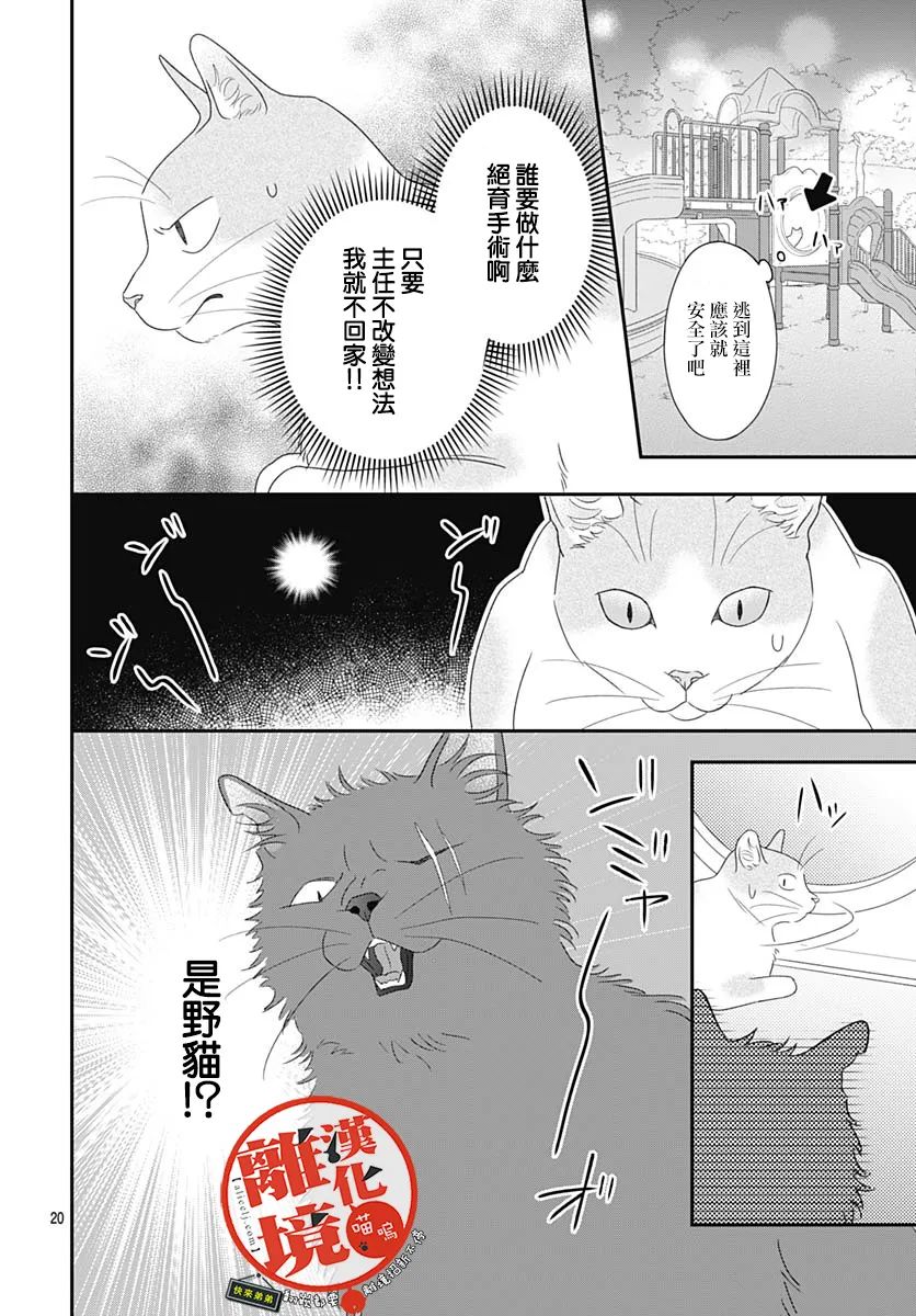 《完全喵话饲养～被一脸凶相的上司宠爱著～》漫画最新章节第13话免费下拉式在线观看章节第【20】张图片