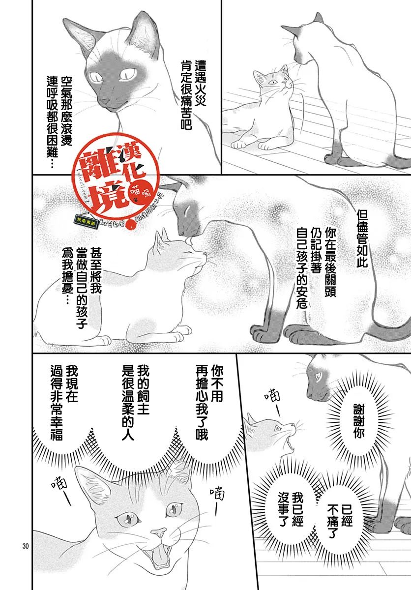 《完全喵话饲养～被一脸凶相的上司宠爱著～》漫画最新章节第9话免费下拉式在线观看章节第【30】张图片