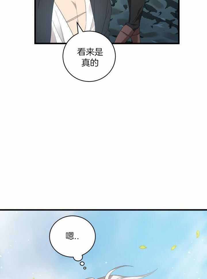 《异世界骑士》漫画最新章节第85话免费下拉式在线观看章节第【17】张图片