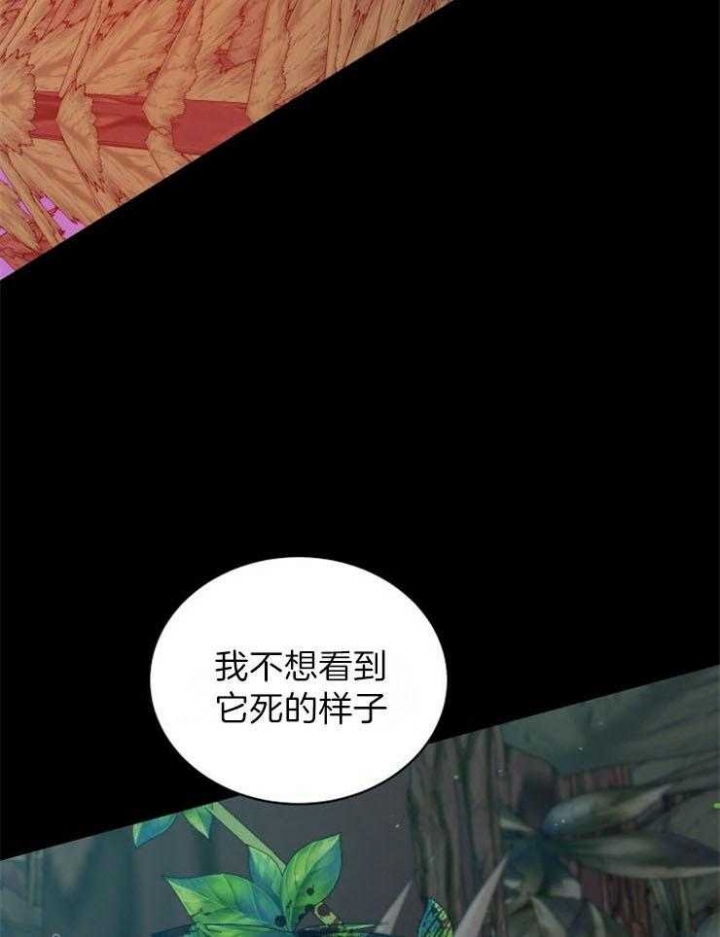 《异世界骑士》漫画最新章节第29话免费下拉式在线观看章节第【7】张图片