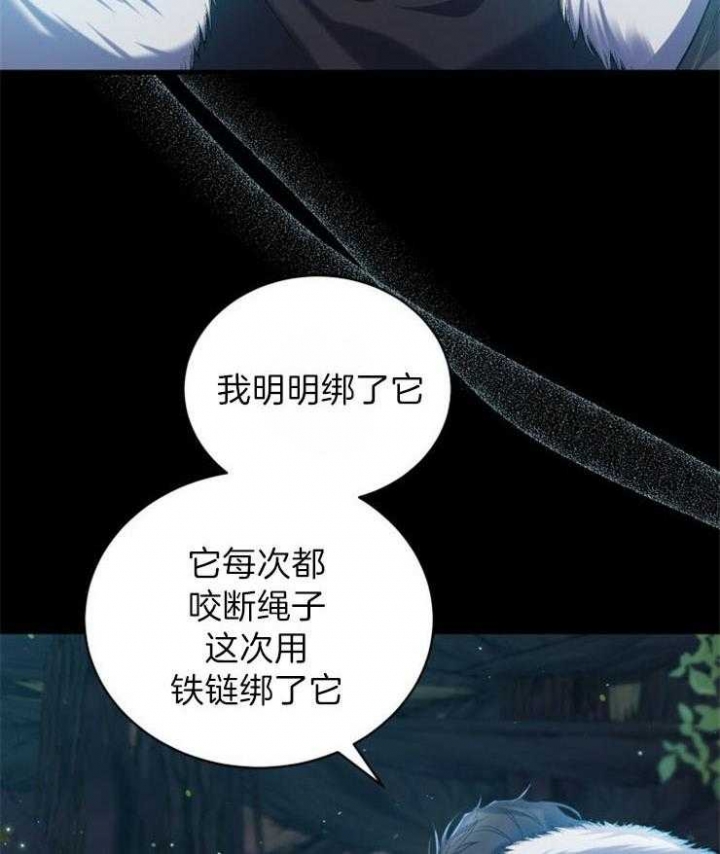 《异世界骑士》漫画最新章节第28话免费下拉式在线观看章节第【51】张图片