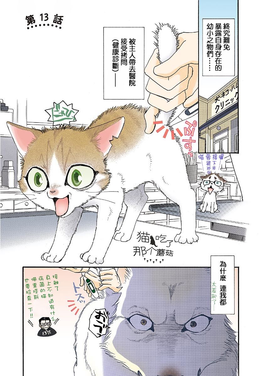 《我家狗子捡到了两只奶猫》漫画最新章节第13话免费下拉式在线观看章节第【1】张图片