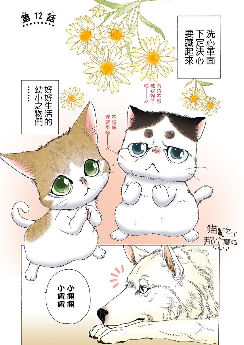 《我家狗子捡到了两只奶猫》漫画最新章节第12话免费下拉式在线观看章节第【1】张图片