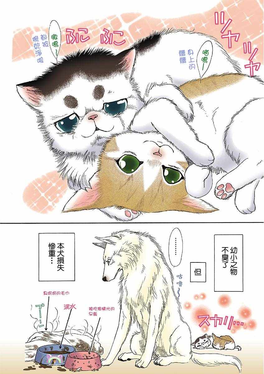 《我家狗子捡到了两只奶猫》漫画最新章节第3话免费下拉式在线观看章节第【8】张图片