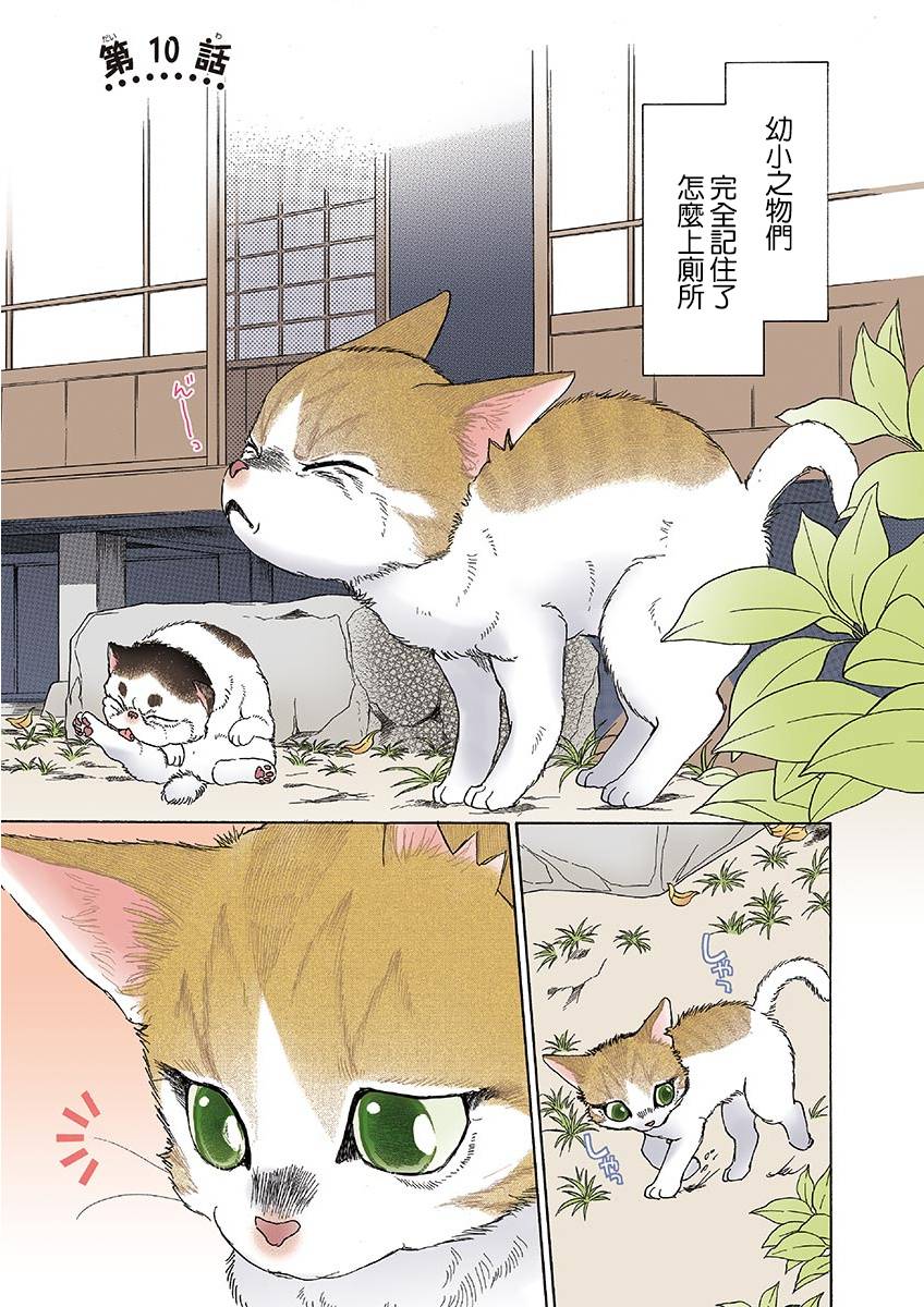 《我家狗子捡到了两只奶猫》漫画最新章节第10话免费下拉式在线观看章节第【1】张图片