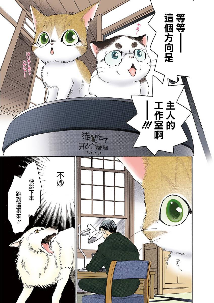 《我家狗子捡到了两只奶猫》漫画最新章节第11话免费下拉式在线观看章节第【3】张图片