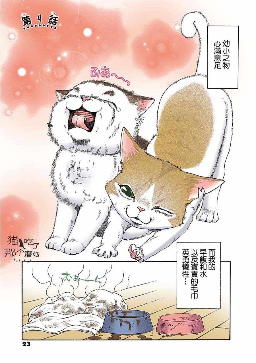 《我家狗子捡到了两只奶猫》漫画最新章节第4话免费下拉式在线观看章节第【1】张图片