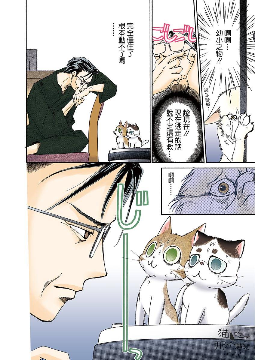 《我家狗子捡到了两只奶猫》漫画最新章节第11话免费下拉式在线观看章节第【6】张图片